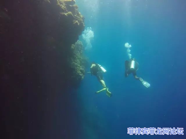 4025911-8269631b71c5ff1d.jpg